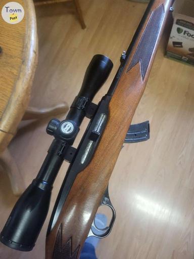 Photo of Winchester 490 semi-auto 22 - 1