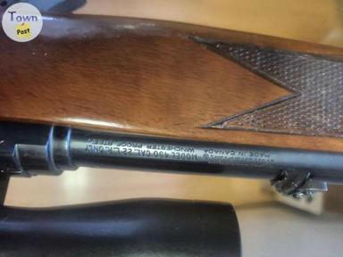 Photo of Winchester 490 semi-auto 22 - 2