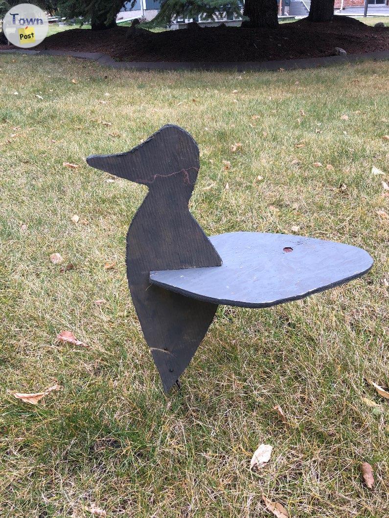 Photo of Duck Decoys