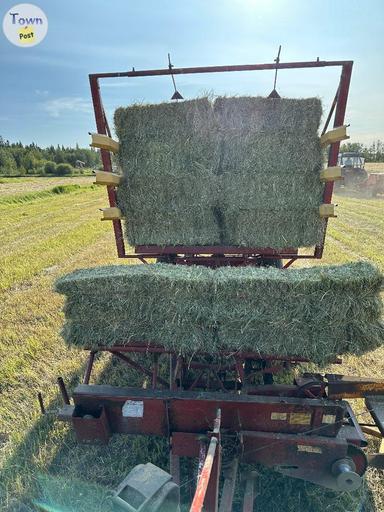 Photo of Square hay bales  - 2