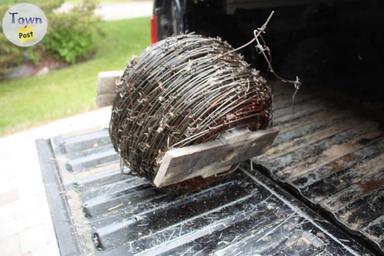 Photo of Barb Wire Roll  - 2