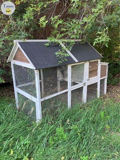 Photo of Rabbit Hutch or Chicken Hutch - 1