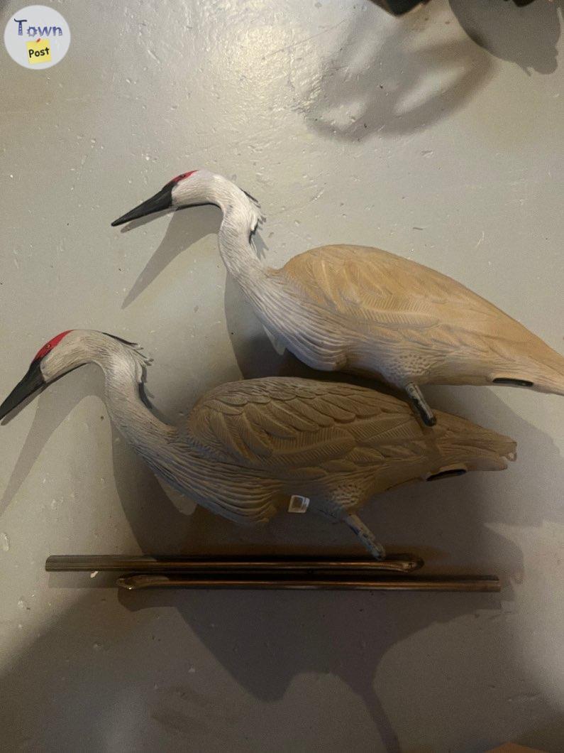 Photo of Sandhill crane decoys