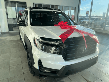 Photo of Grill for 2023 Honda Ridgeline Black Edition - 1