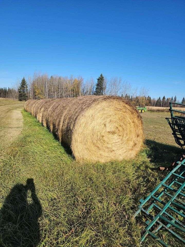 Photo of Hay for Sale