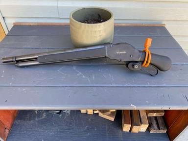 Photo of 12g lever action - 1