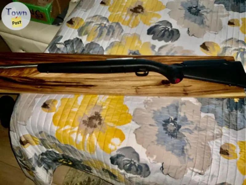 Photo of Ruger American Stainless .22 LR