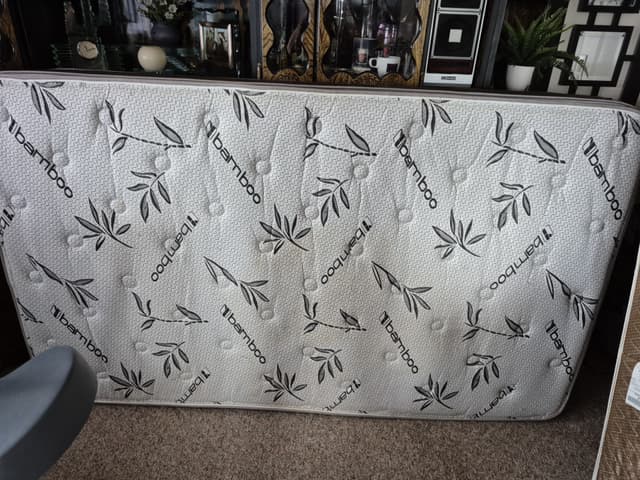 Bamboo twin bed - 1 - 1753635351593_1000006704