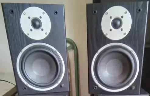 Photo of Braxton MA300 Speakers