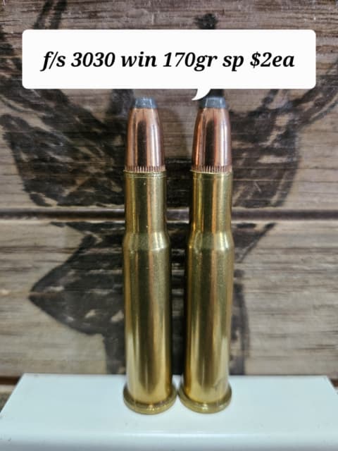 F/s 3030 win 170gr sp  - 1 - 1741465780632_1000020828