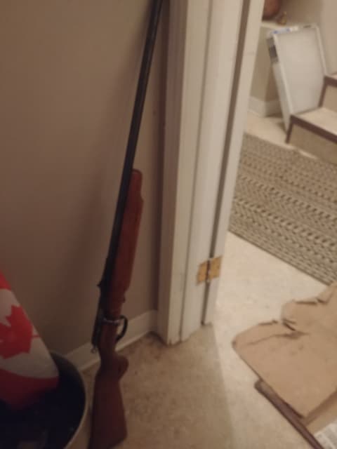 Photo of ranger .22