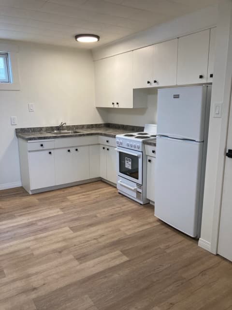 Fully renovated basement suite - 2 - 1742260425757_Kitchen basement