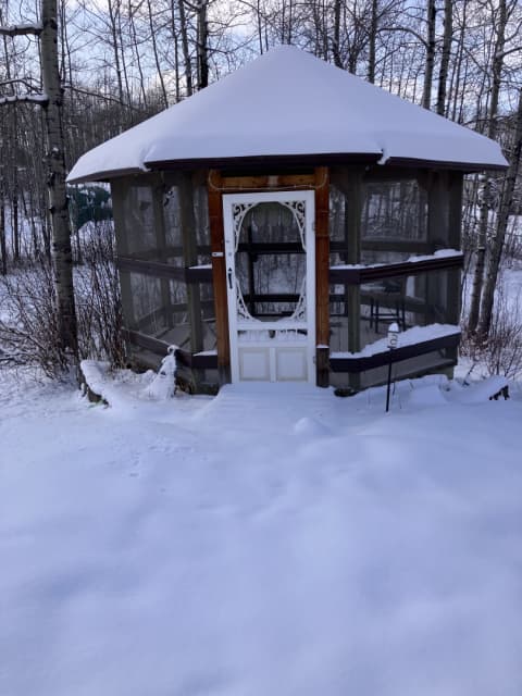 Beautiful acreage 1.4 near Thunder lake close to Barrhead 3 bedroom 1.5 bathrooms  - 3 - 1742263483075_IMG_5347