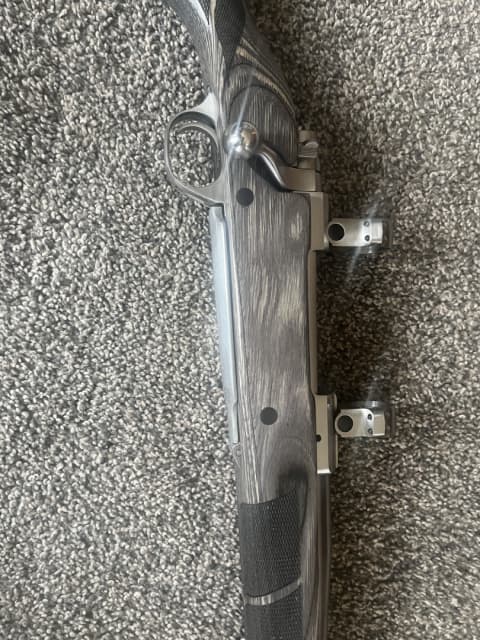 Ruger - 2 - 1743262719533_IMG_6096
