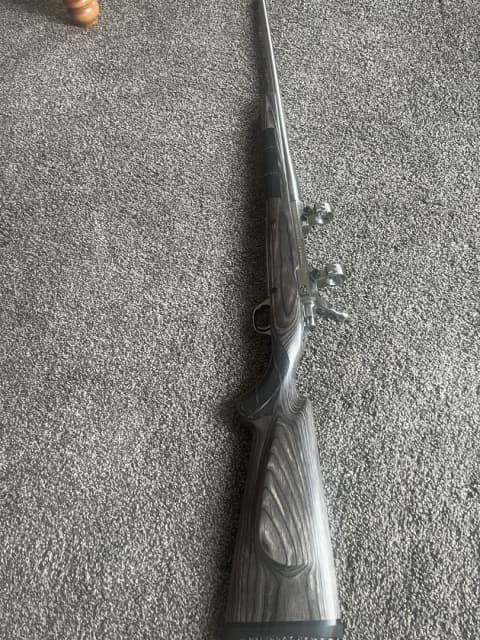 Ruger - 3 - 1743262719533_IMG_6097