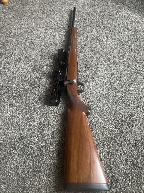 Ruger - 1 - 1743264770400_IMG_6100