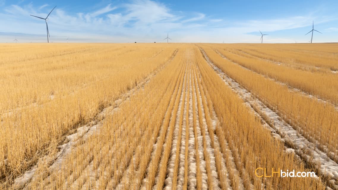 Photo of 640 Acres Farm Land For Sale - Bow Island, AB