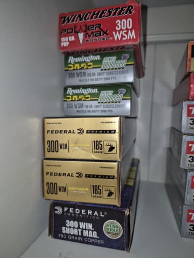 Photo of 300wsm ammo and dies