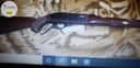 Photo of Remington nylon 76 and model 12