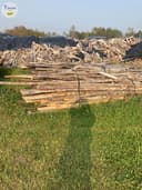 Photo of Poplar & spruce slabs Have 16bundles