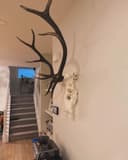 Photo of Euro Mounting System For Sale