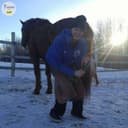 Photo of Frasers Farrier Service