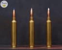 Photo of Weatherby cartridge collection