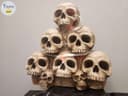 Photo of Skull Pile with lights inside