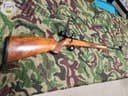 Photo of Walther 22 Rimfire