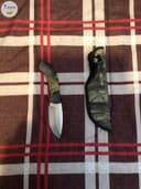 Photo of Buck knife