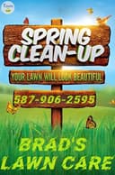 Photo of spring clean up