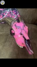 Photo of Painted/decorated European Mount