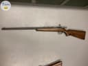 Photo of Wanted 22 Caliber Smooth Bore