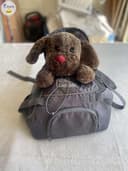 Photo of Small Pet Carrier