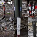 Photo of Black Eagle / Gold Tip Arrows