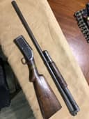 Photo of Looking for old winchester shotguns in any condition