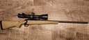 Photo of Remington-783 in 308 win