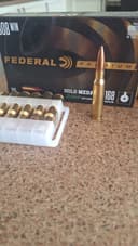Photo of 308 win ammo