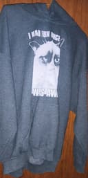 Photo of I Had Fun Once it Was Awful Hoodie