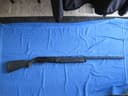 Photo of Benelli Cordoba Synthetic 12/20ga. Semi Auto.