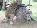 Photo of Novritsch SSG24 $800 OBO.