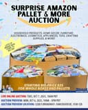 Photo of Surprise Amazon Pallet & More Auction
