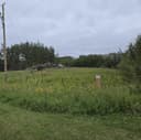 Photo of Elk Island / Tofield Acreage for Sale