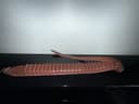 Photo of SOLD: Shotgun belt for shotshells