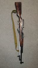 Photo of laminated Russian SKS Ottawa