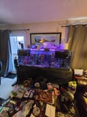 Photo of 160 Gallon Tank with stand & pumps no fish or water Located in Woodbine SW