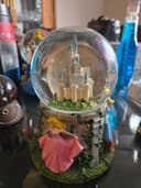 Photo of Downsizing Water Globe with castle located in woodbine