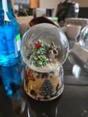 Photo of Snow Globe with raccoon Located in Woodbine SW