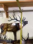Photo of Collection of metal wildlife art