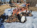 Photo of Antique yard/ acreage ornaments for sale